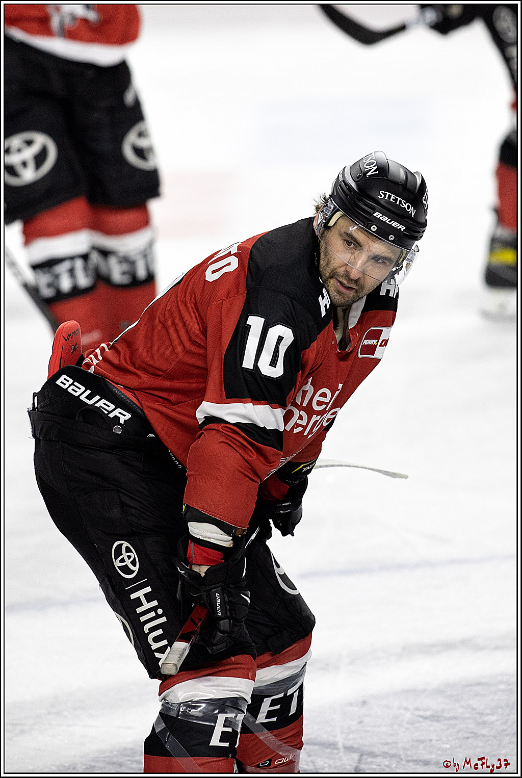 PENNY DEL;  Koelner Haie - ERC Ingolstadt; Koeln, 19.12.2021